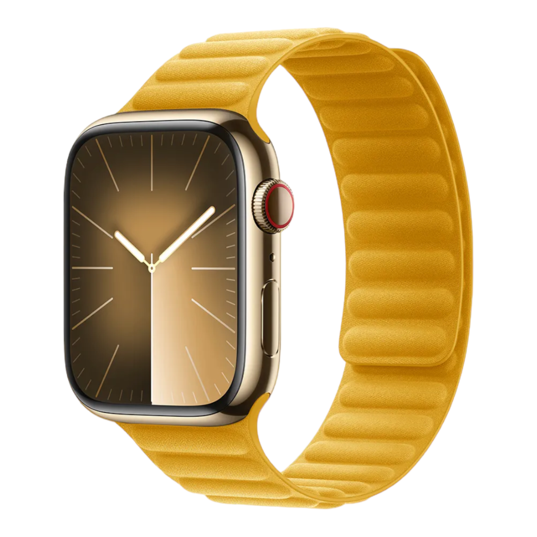 Magnetic Link - New collection 2024