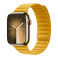 Magnetic Link - New collection 2024